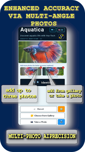 Aquatica Screenshot 3