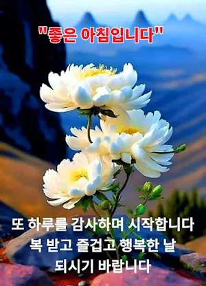 좋은 아침 이미지 Screenshot 1