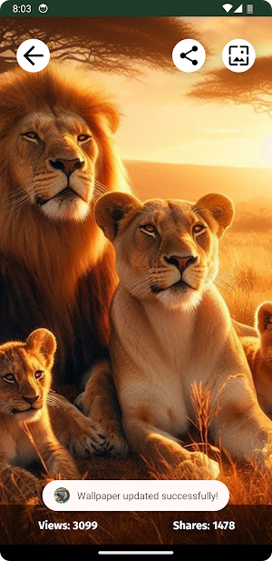 Wild Animals Wallpapers Screenshot 2