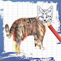 100+ How to Draw Animals