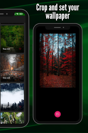 Tree Wallpaper: Full HD Screenshot 2