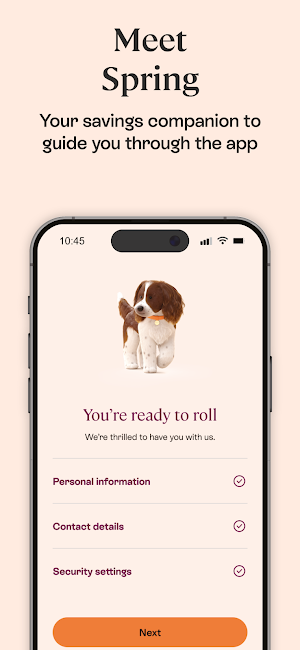 Spring: Easy Access Savings Screenshot 2