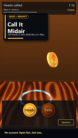 CoinToss Screenshot 1