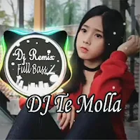 Dj Te Molla Full Bass Offline