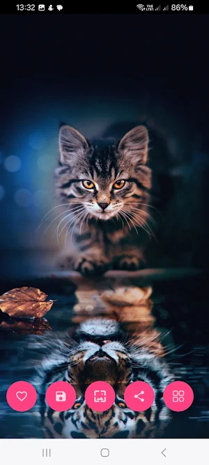 10000 Wallpapers & Backgrounds Screenshot 0