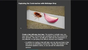 how to repel cockroaches Screenshot 0