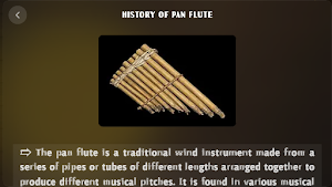 Pan Flute Instrument Screenshot 3