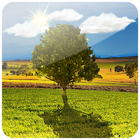 Beautiful Wallpapers