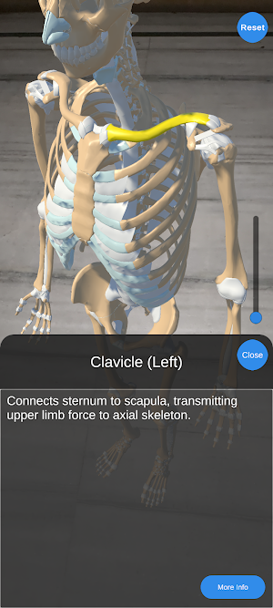 AR Anatomy Screenshot 1