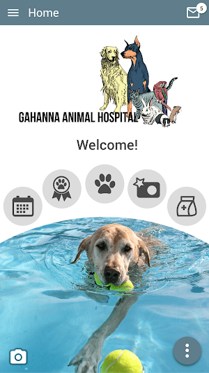 Gahanna Animal Hospital Screenshot 0