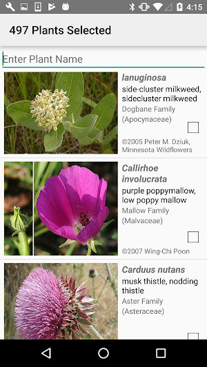 Nebraska Wildflowers Screenshot 2