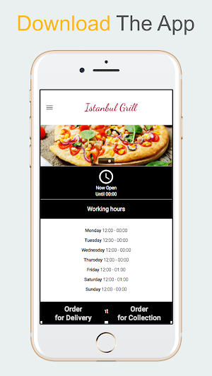 Istanbul Grill Ashford Screenshot 1