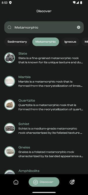 Rock-Scan Screenshot 2