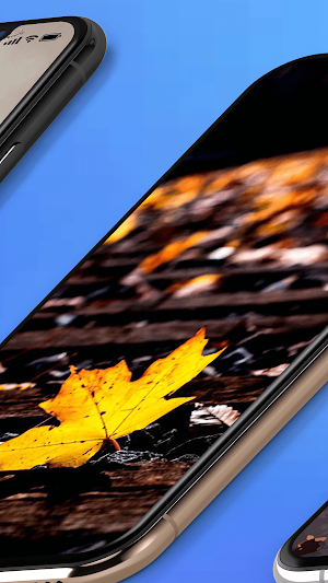 Autumn Wallpapers Backgrounds Screenshot 2