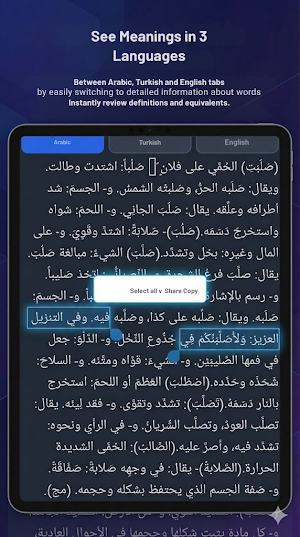 Arabic Dictionary Screenshot 1