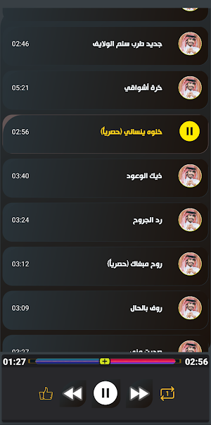 شيلات سلطان الفهادي بدون نت Screenshot 3