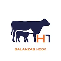 H1