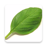 Herbal Remedies