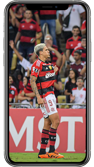 Pedro Flamengo Wallpapers Screenshot 0