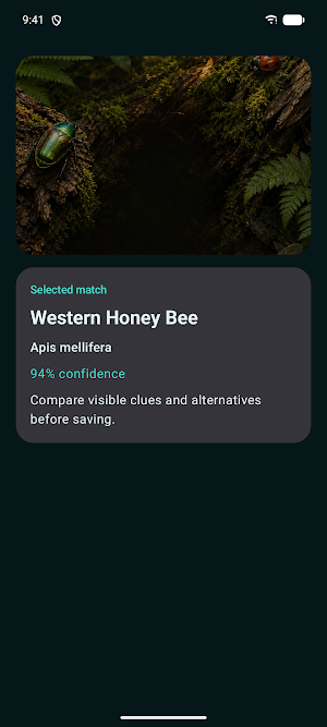 Insect Discover Screenshot 0