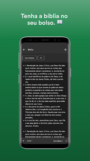PIBAVENI Screenshot 2