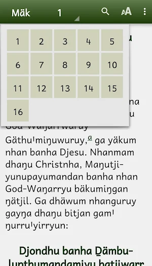 Wangurri Gospel of Mark Screenshot 2