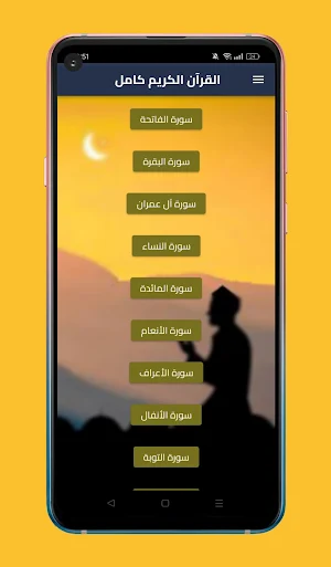 القرآن الكريم ماهر المعيقلي Screenshot 0