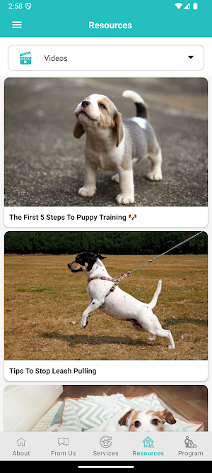 Mollie's Dog Place Screenshot 3