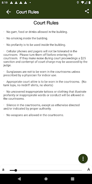 Esmeralda County Justice Court Screenshot 2