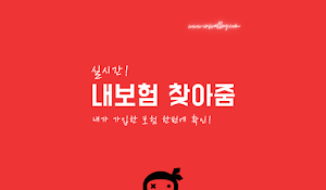 내보험찾아줌 - 내보험다보여 숨은보험금찾기 Screenshot 0