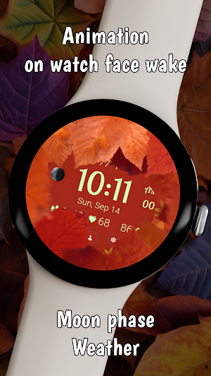 Autumn Leaves Screenshot 1
