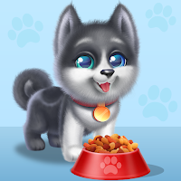 My Husky Dog Puppy Pet Daycare