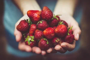 Strawberry Wallpapers Screenshot 2