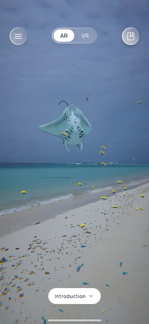 Manta Story Screenshot 3