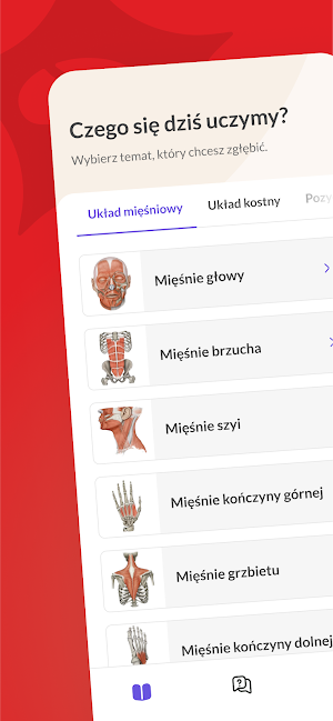 Anatomik Screenshot 0