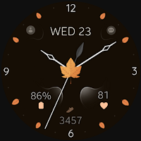 Elegant Autumn watch face