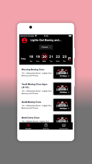 Lights Out Boxing Screenshot 2