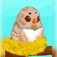 Ciku