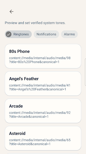 EchoCanvas Local Screenshot 2