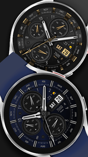 WFP 308 analog watch face Screenshot 2