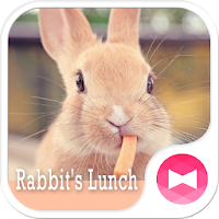 Cute Theme-Rabbit's Lunch-