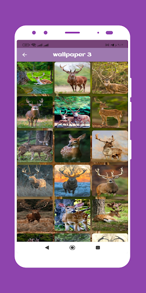Deer wallpapers Screenshot 3