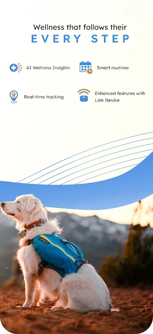 Crossroads Veterinary Hospital Screenshot 1