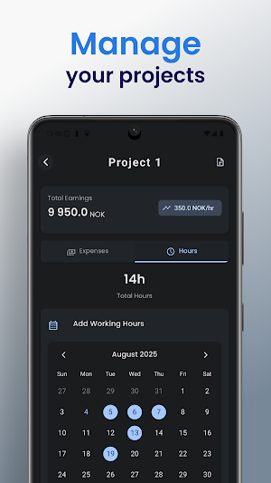 Flex-Time Screenshot 3