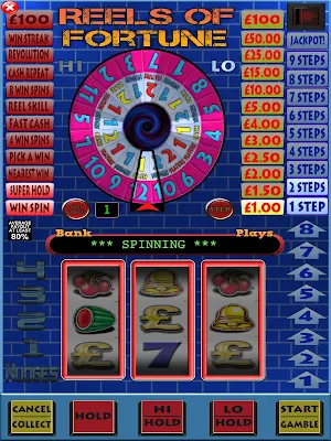 Reels of Fortune Pub Fruit Machine Slots Screenshot 0