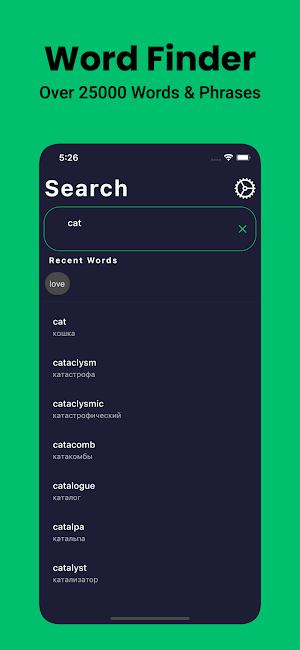 Russian Dictionary English Screenshot 2