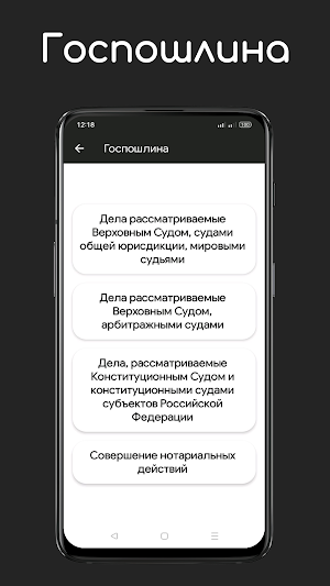 Калькулятор госпошлины Screenshot 1