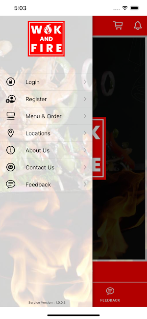 Wok And Fire Screenshot 1
