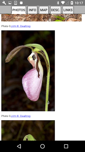 Michigan Wildflowers Screenshot 3