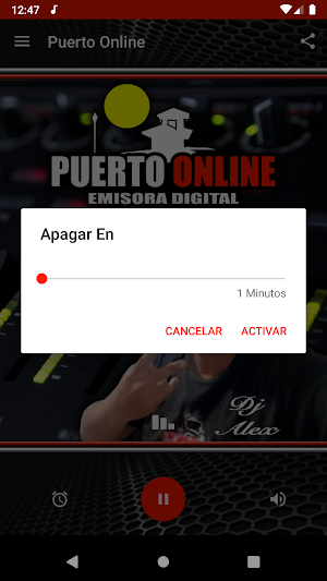Puerto Online Screenshot 3